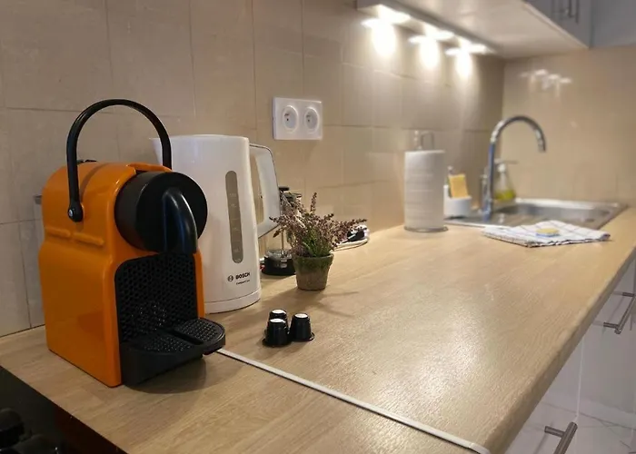 Super In The Heart Of Nice! Apartment Nice